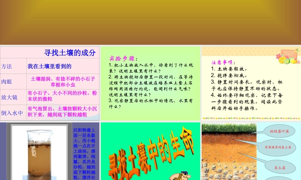 三年级科学下册 三 植物生活的土地 第1课《土壤里有什么》课件 新人教版-新人教版小学三年级下册自然科学课件