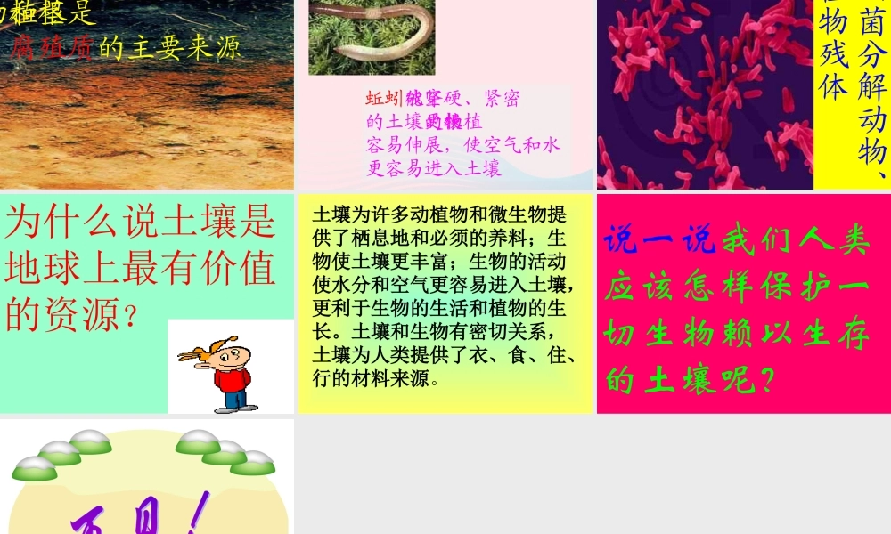 三年级科学下册 三 植物生活的土地 第1课《土壤里有什么》课件 新人教版-新人教版小学三年级下册自然科学课件