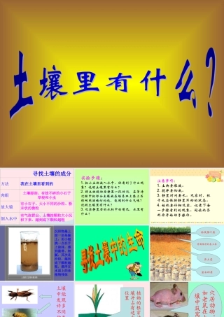 三年级科学下册 三 植物生活的土地 第1课《土壤里有什么》课件 新人教版-新人教版小学三年级下册自然科学课件