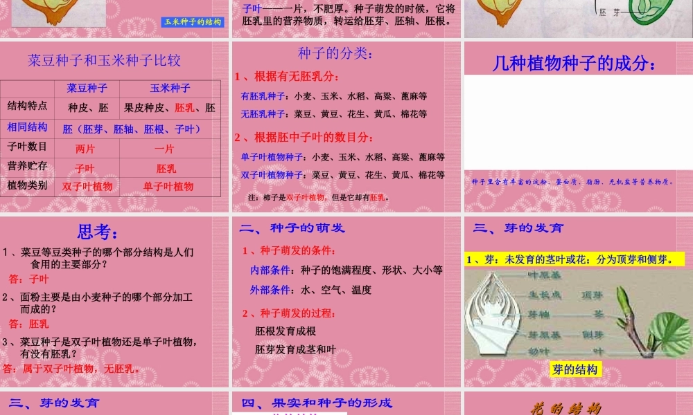 三年级科学下册 植物怎样度过一生 2课件 首师大版