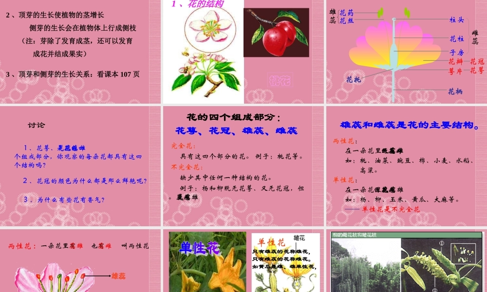 三年级科学下册 植物怎样度过一生 2课件 首师大版