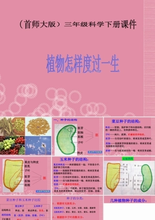三年级科学下册 植物怎样度过一生 2课件 首师大版