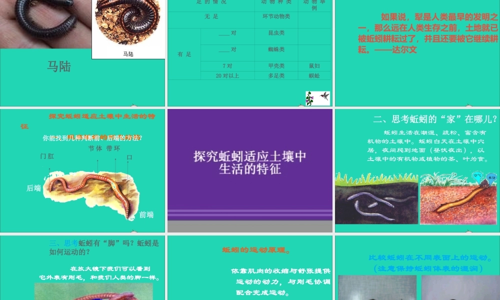 三年级科学下册 三 植物生活的土地 第2课《土壤中的动物》课件1 新人教版-新人教版小学三年级下册自然科学课件