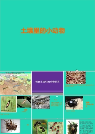 三年级科学下册 三 植物生活的土地 第2课《土壤中的动物》课件1 新人教版-新人教版小学三年级下册自然科学课件