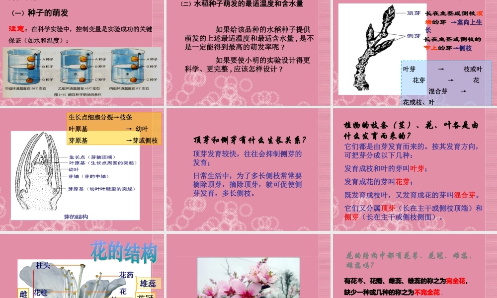 三年级科学下册 植物怎样度过一生 3课件 首师大版