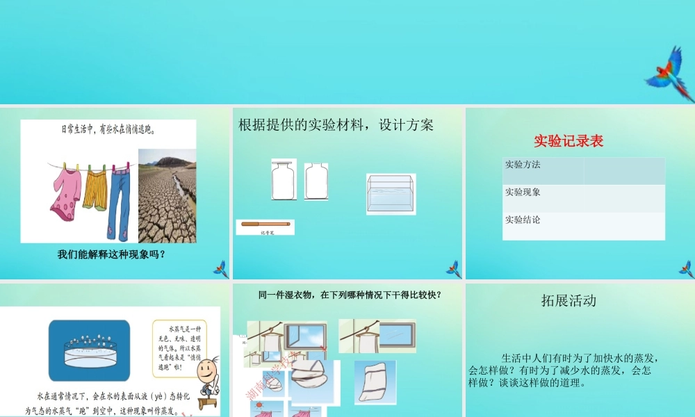 三年级科学下册 第二单元 水的三态变化 2.1 水的蒸发课件 （新版）湘科版-人教版小学三年级下册自然科学课件