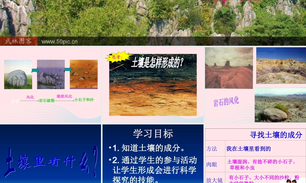 三年级科学下册 三 植物生活的土地 第2课《土壤中的动物》课件2 新人教版-新人教版小学三年级下册自然科学课件