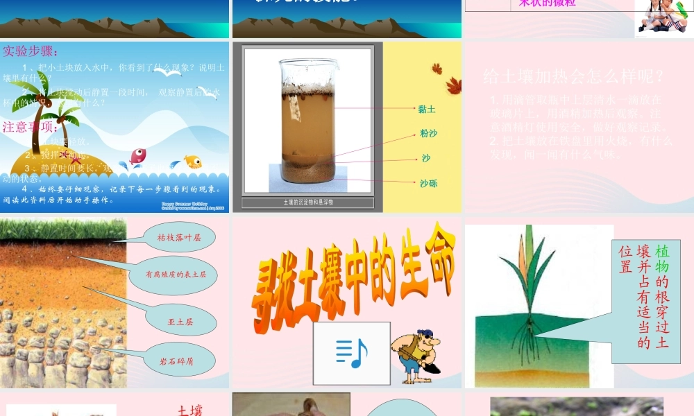 三年级科学下册 三 植物生活的土地 第2课《土壤中的动物》课件2 新人教版-新人教版小学三年级下册自然科学课件