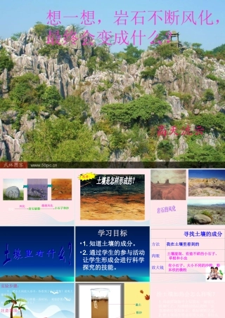 三年级科学下册 三 植物生活的土地 第2课《土壤中的动物》课件2 新人教版-新人教版小学三年级下册自然科学课件