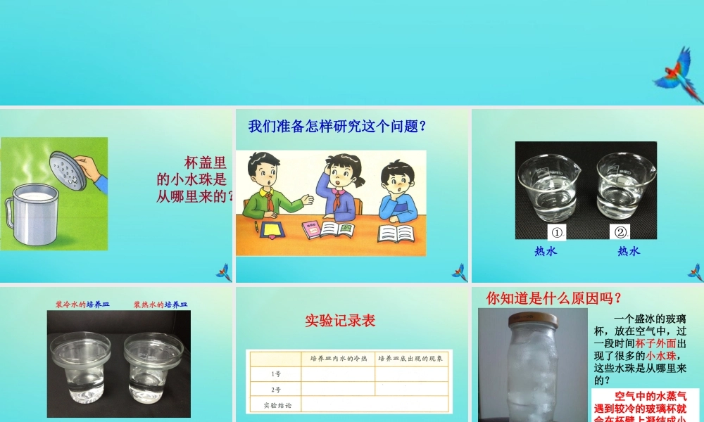 三年级科学下册 第二单元 水的三态变化 2.2 水蒸气的凝结课件 （新版）湘科版-人教版小学三年级下册自然科学课件