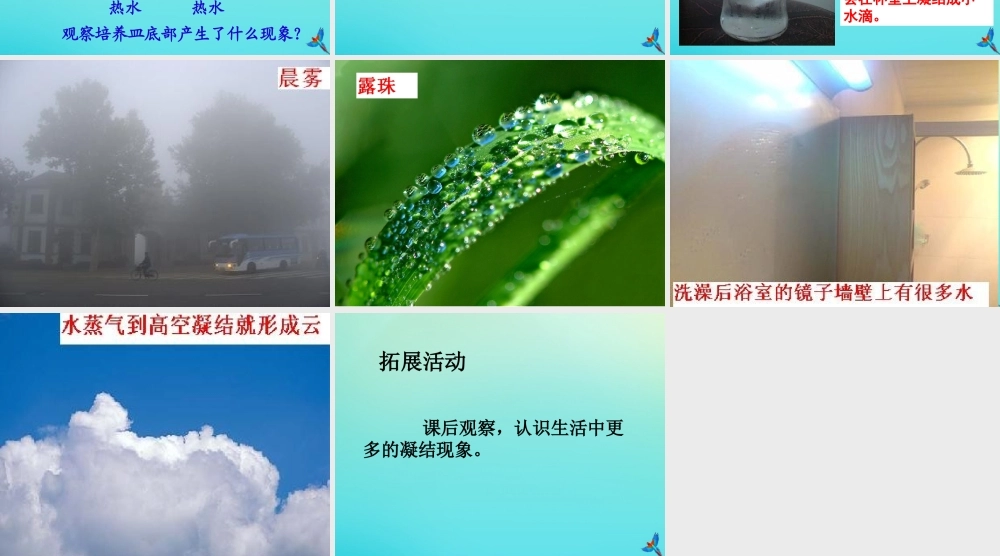 三年级科学下册 第二单元 水的三态变化 2.2 水蒸气的凝结课件 （新版）湘科版-人教版小学三年级下册自然科学课件