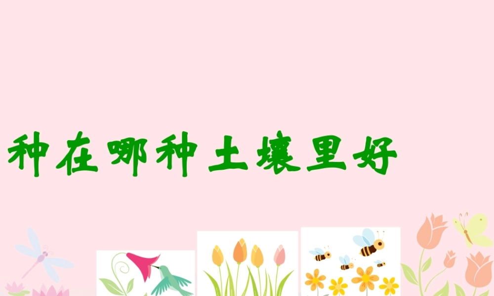 三年级科学下册 三 植物生活的土地 第3课《种在哪种土壤里好》课件1 新人教版-新人教版小学三年级下册自然科学课件