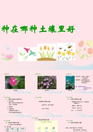 三年级科学下册 三 植物生活的土地 第3课《种在哪种土壤里好》课件1 新人教版-新人教版小学三年级下册自然科学课件