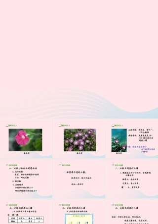 三年级科学下册 三 植物生活的土地 第3课《种在哪种土壤里好》课件2 新人教版-新人教版小学三年级下册自然科学课件