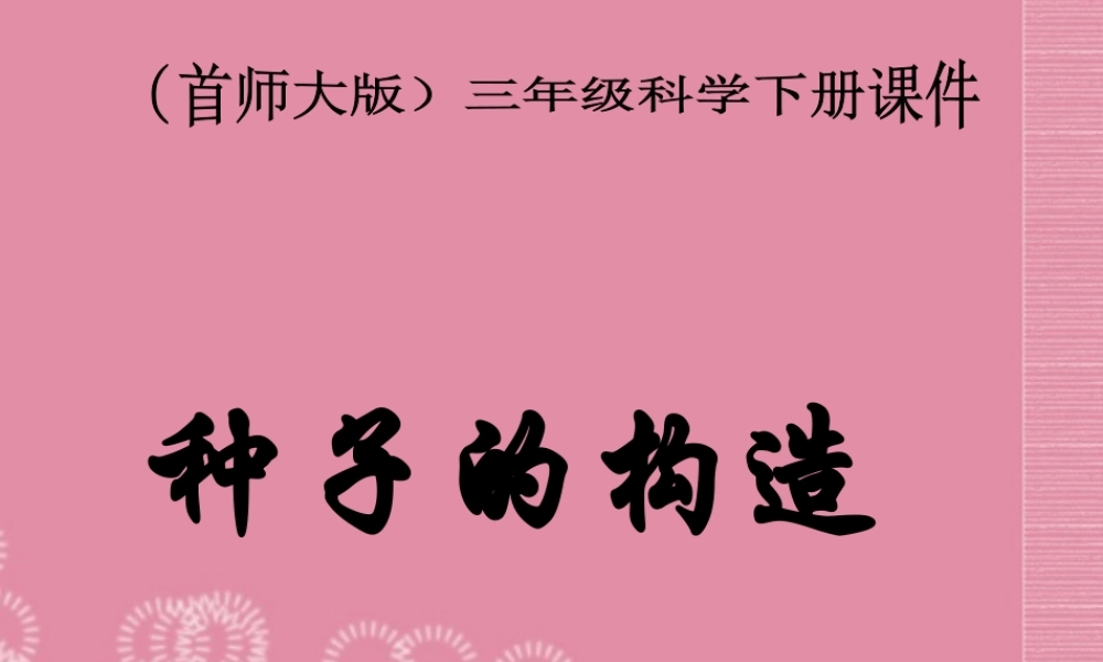 三年级科学下册 种子的构造 1课件 首师大版