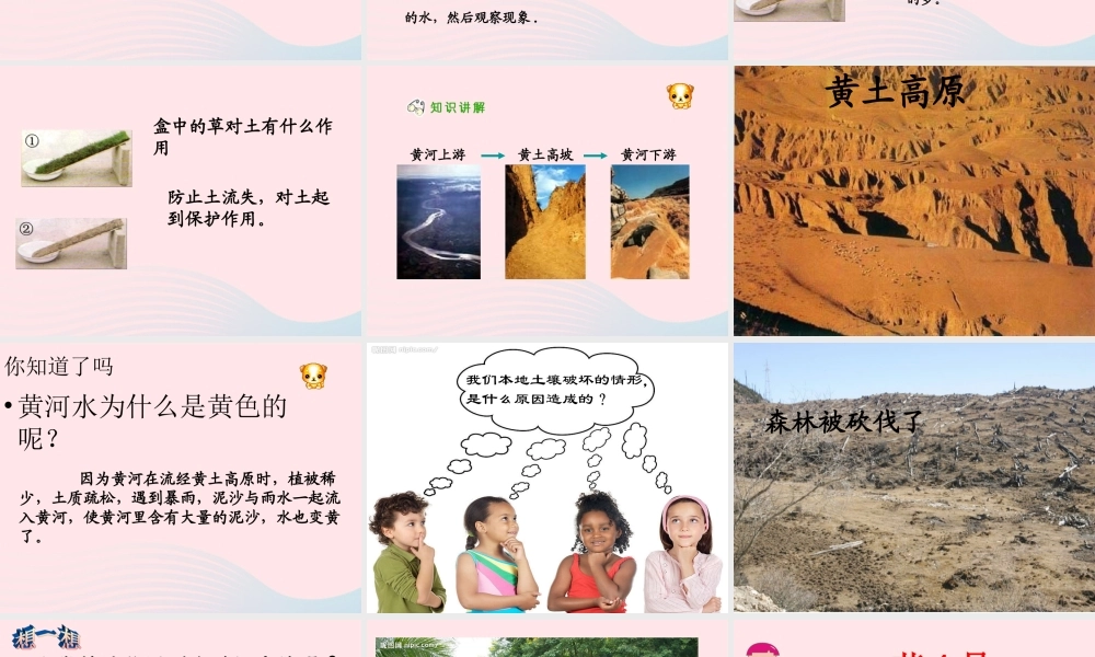 三年级科学下册 三 植物生活的土地 第4课《土壤的保护》课件1 新人教版-新人教版小学三年级下册自然科学课件