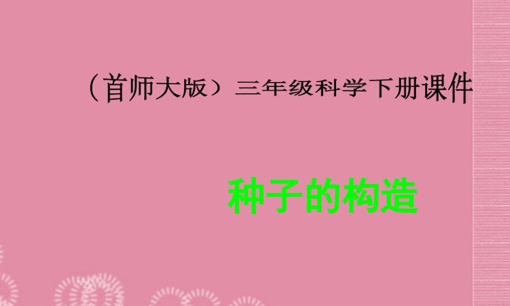 三年级科学下册 种子的构造 2课件 首师大版