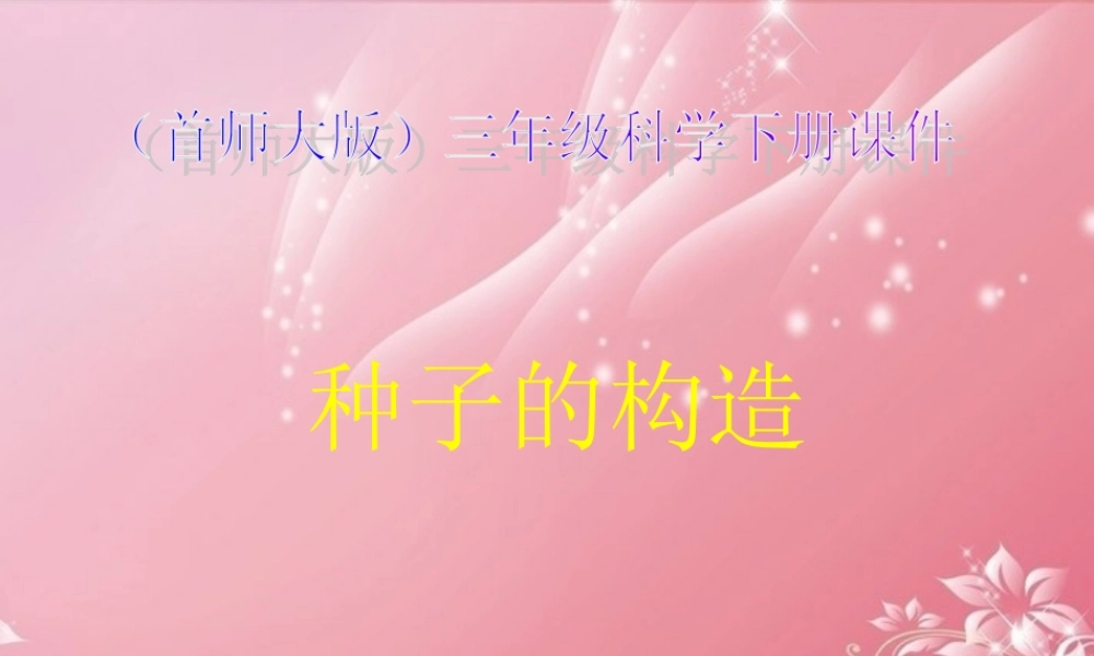 三年级科学下册 种子的构造 3课件 首师大版