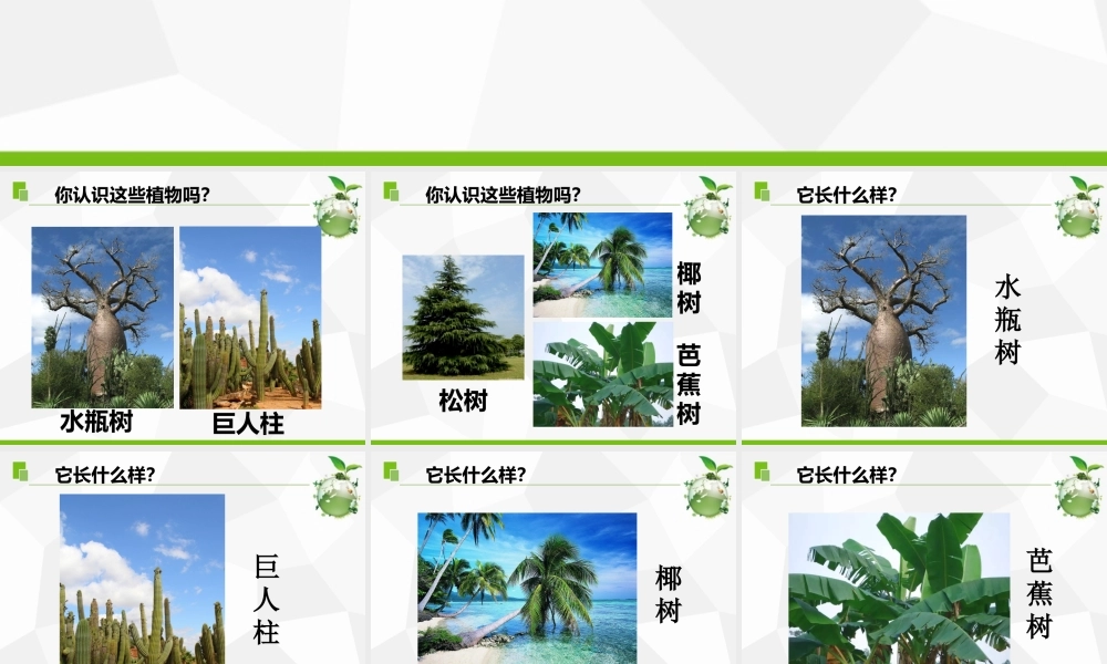 三年级科学下册 第二单元 植物与环境 5 不同环境里的植物课件 苏教版-苏教版小学三年级下册自然科学课件