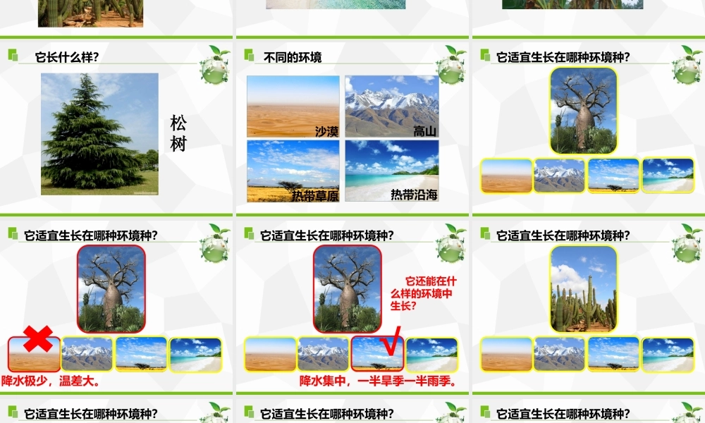 三年级科学下册 第二单元 植物与环境 5 不同环境里的植物课件 苏教版-苏教版小学三年级下册自然科学课件