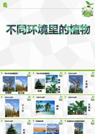 三年级科学下册 第二单元 植物与环境 5 不同环境里的植物课件 苏教版-苏教版小学三年级下册自然科学课件