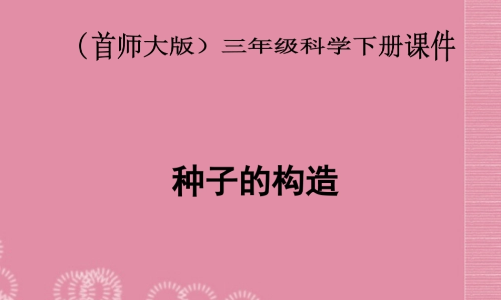 三年级科学下册 种子的构造 4课件 首师大版
