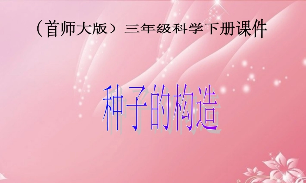 三年级科学下册 种子的构造 5课件 首师大版