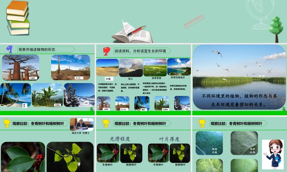 三年级科学下册 第二单元 植物与环境 5 不同环境里的植物课件1 苏教版-苏教版小学三年级下册自然科学课件