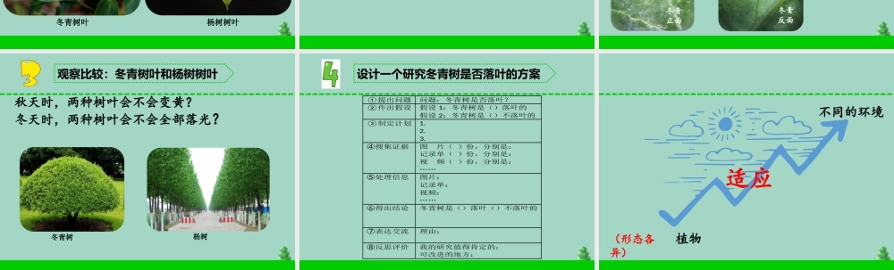 三年级科学下册 第二单元 植物与环境 5 不同环境里的植物课件1 苏教版-苏教版小学三年级下册自然科学课件
