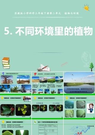 三年级科学下册 第二单元 植物与环境 5 不同环境里的植物课件1 苏教版-苏教版小学三年级下册自然科学课件