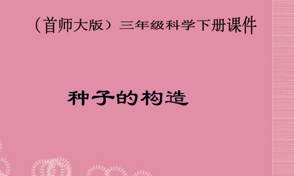 三年级科学下册 种子的构造 6课件 首师大版