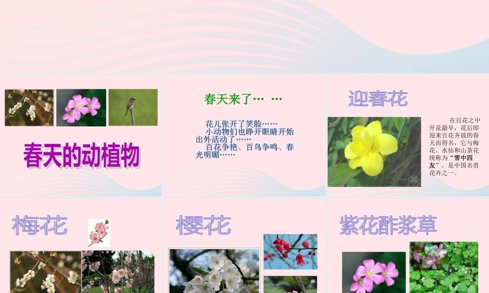 三年级科学下册 一 天气与植物 第1课《观察春天的植物》课件 新人教版-新人教版小学三年级下册自然科学课件