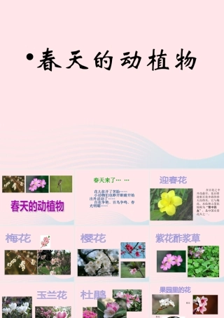 三年级科学下册 一 天气与植物 第1课《观察春天的植物》课件 新人教版-新人教版小学三年级下册自然科学课件