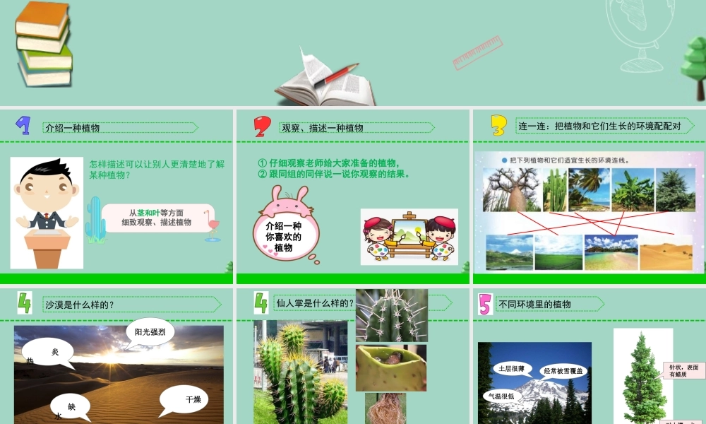 三年级科学下册 第二单元 植物与环境 5 不同环境里的植物课件2 苏教版-苏教版小学三年级下册自然科学课件