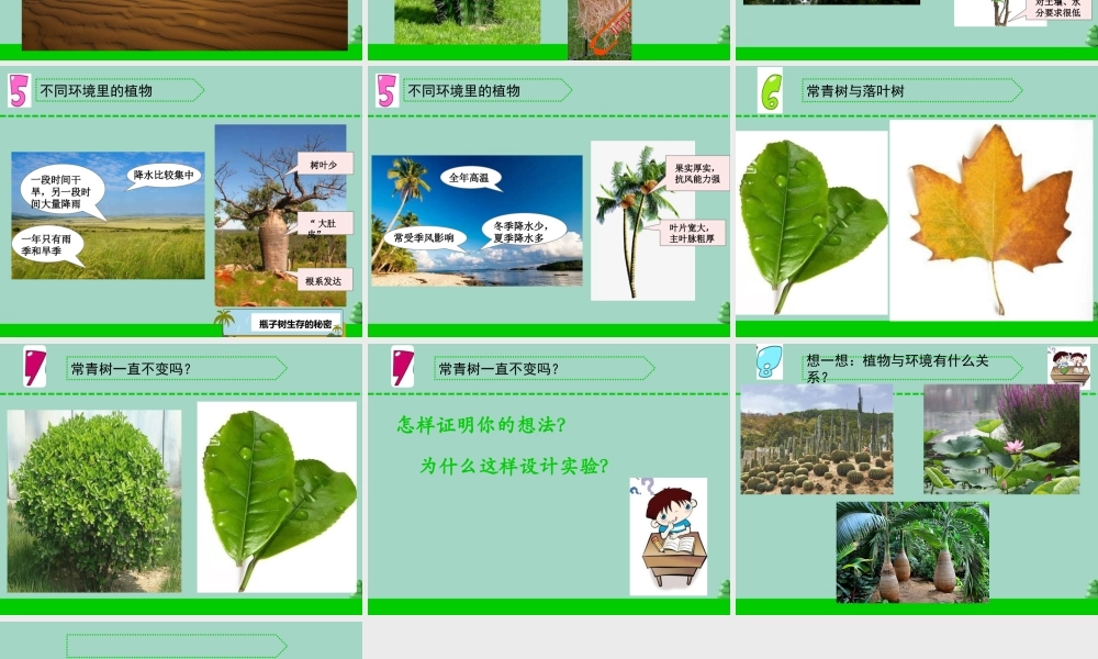 三年级科学下册 第二单元 植物与环境 5 不同环境里的植物课件2 苏教版-苏教版小学三年级下册自然科学课件