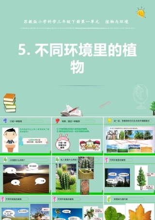 三年级科学下册 第二单元 植物与环境 5 不同环境里的植物课件2 苏教版-苏教版小学三年级下册自然科学课件