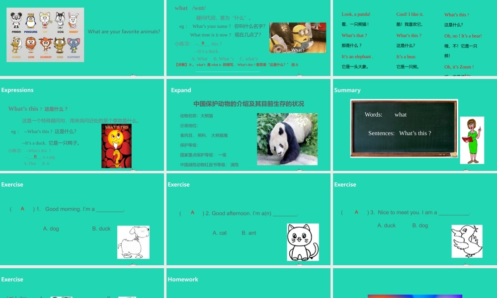 三年级英语上册 Unit 4 We love animals（第1课时）课件 人教PEP版-人教PEP小学三年级上册英语课件