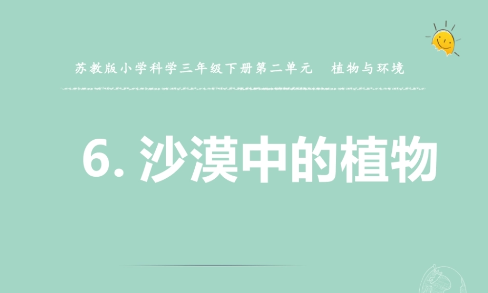三年级科学下册 第二单元 植物与环境 6 沙漠里的植物课件1 苏教版-苏教版小学三年级下册自然科学课件
