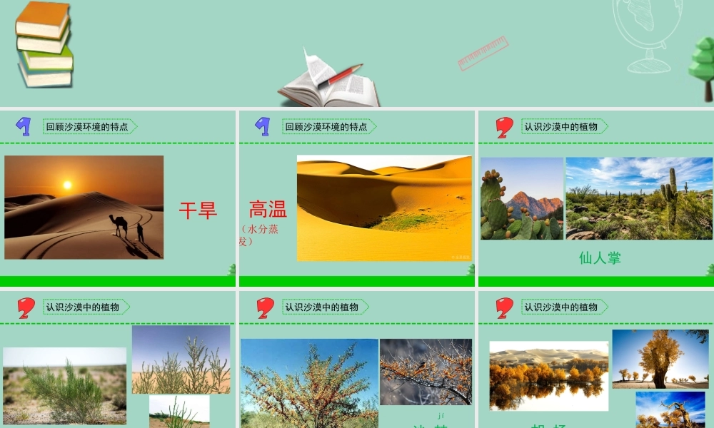 三年级科学下册 第二单元 植物与环境 6 沙漠里的植物课件1 苏教版-苏教版小学三年级下册自然科学课件