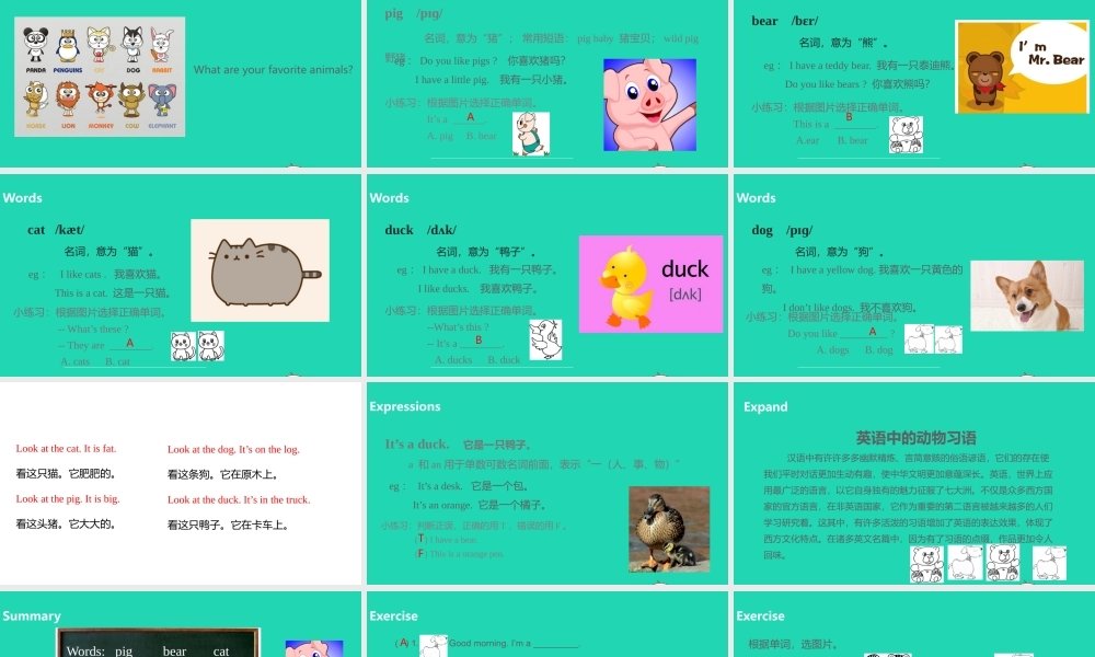 三年级英语上册 Unit 4 We love animals（第2课时）课件 人教PEP版-人教PEP小学三年级上册英语课件