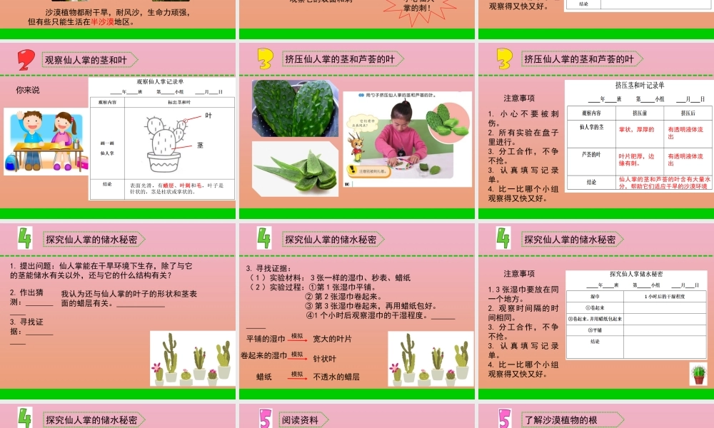 三年级科学下册 第二单元 植物与环境 6 沙漠里的植物课件2 苏教版-苏教版小学三年级下册自然科学课件