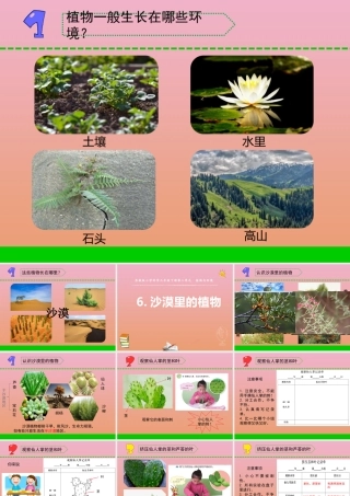 三年级科学下册 第二单元 植物与环境 6 沙漠里的植物课件2 苏教版-苏教版小学三年级下册自然科学课件
