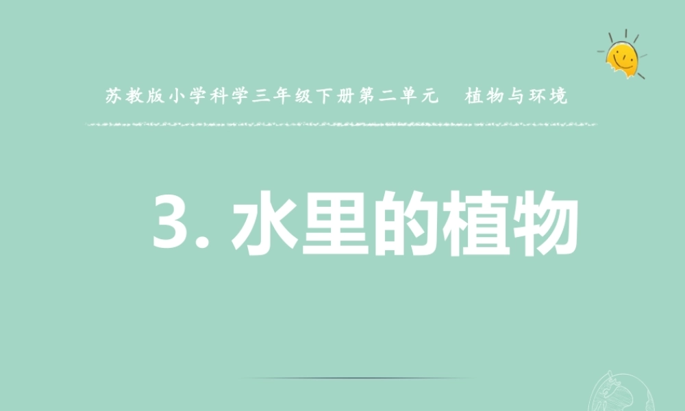 三年级科学下册 第二单元 植物与环境 7 水里的植物课件1 苏教版-苏教版小学三年级下册自然科学课件