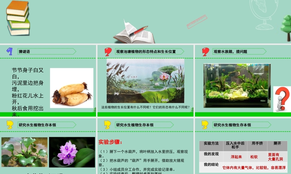 三年级科学下册 第二单元 植物与环境 7 水里的植物课件1 苏教版-苏教版小学三年级下册自然科学课件