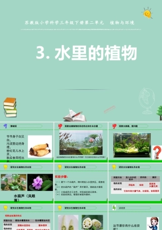 三年级科学下册 第二单元 植物与环境 7 水里的植物课件1 苏教版-苏教版小学三年级下册自然科学课件