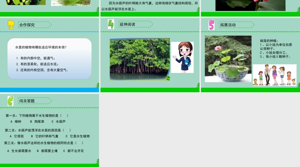 三年级科学下册 第二单元 植物与环境 7 水里的植物课件2 苏教版-苏教版小学三年级下册自然科学课件