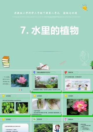 三年级科学下册 第二单元 植物与环境 7 水里的植物课件2 苏教版-苏教版小学三年级下册自然科学课件