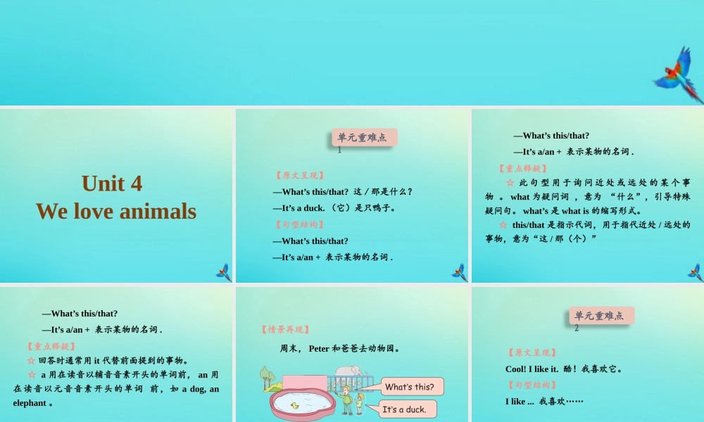 三年级英语上册 Unit 4 We love animals知识清单课件 人教PEP版-人教PEP小学三年级上册英语课件