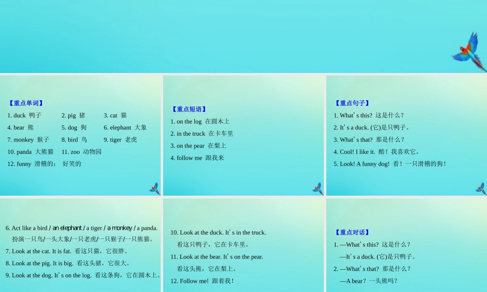 三年级英语上册 Unit 4 We love animals知识梳理练习课件 人教PEP版-人教PEP小学三年级上册英语课件