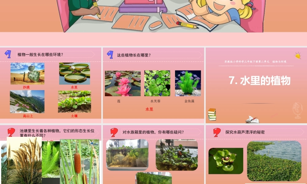三年级科学下册 第二单元 植物与环境 7 水里的植物课件3 苏教版-苏教版小学三年级下册自然科学课件
